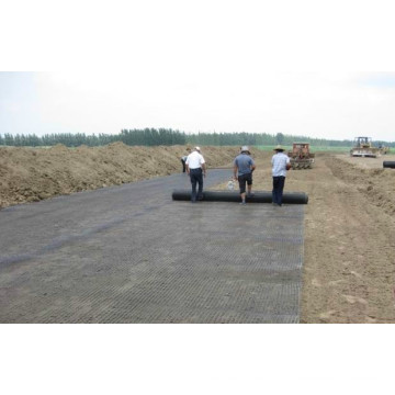 Uniaxial Geogrid PP para Construcción Alta Vía o Ferrocarril